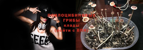 дурь Новокубанск