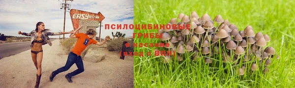 дурь Новокубанск