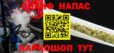 прущие грибы Краснознаменск