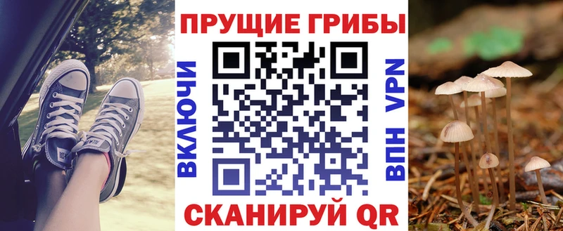 Галлюциногенные грибы прущие грибы  Химки 