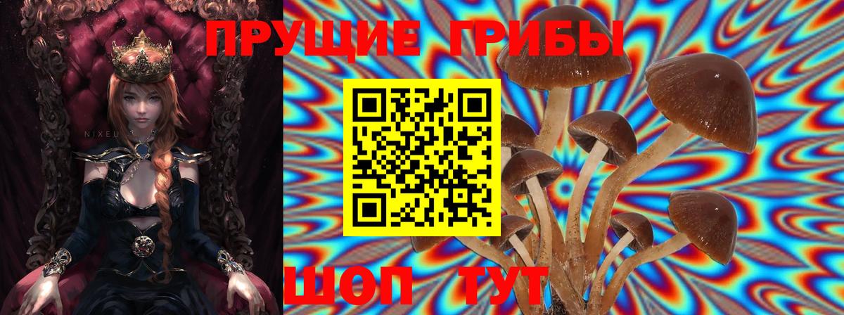 купить  цена  Вход с VPN  Химки  Галлюциногенные грибы ЛСД 